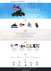 鋅碩精密網(wǎng)站效果圖 深圳專業(yè)網(wǎng)絡(luò)公司，助力企業(yè)高效建站